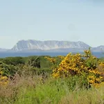 La Culla Del Mare *