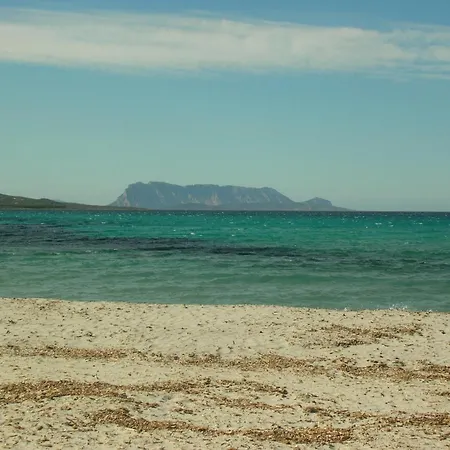 Holiday home La Culla Del Mare Budoni